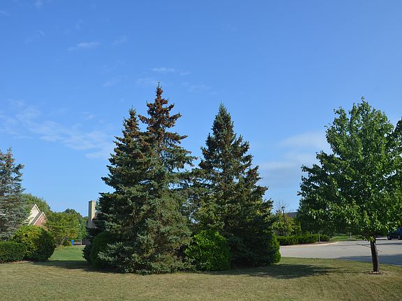 4th image of 4389 Westpark Ct