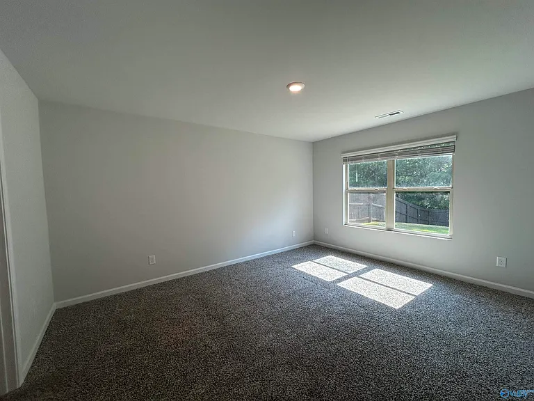 317 Belmar Way — Photo 15