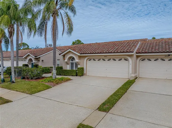 3883 Darston St, Palm Harbor, FL 34685
