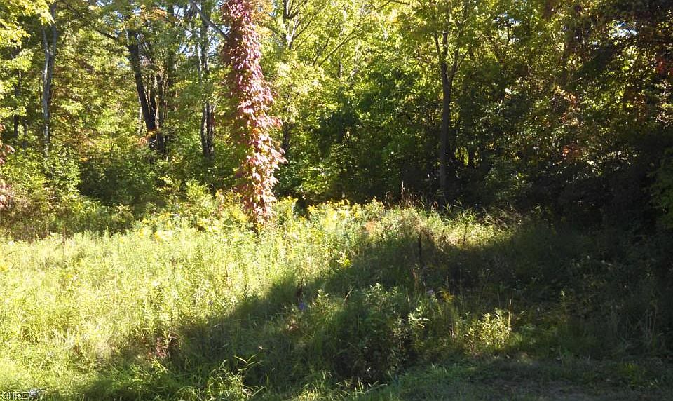 2nd image of 8288 Morley Rd