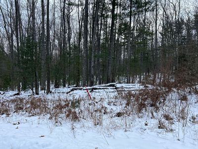 551 Robinhood Dr, Hubbard Lake, MI, 49747