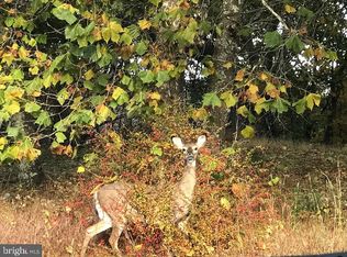 Lancelot Ln, Franklin, WV 26807