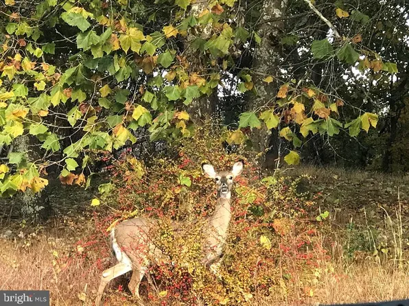 Lancelot Ln, Franklin, WV 26807