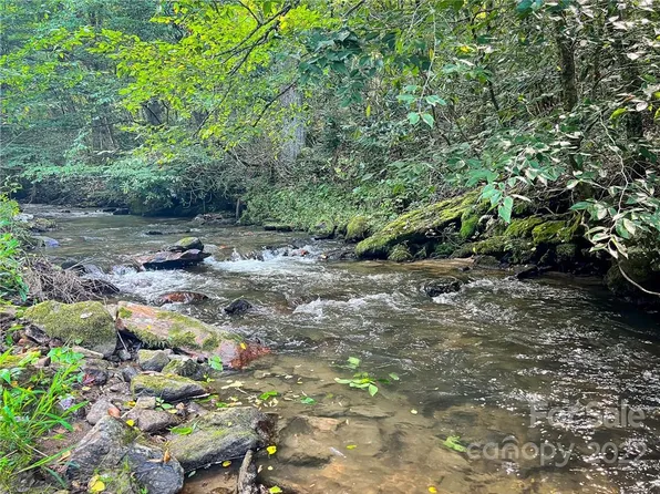 9999 Puncheon Fork Rd, Mars Hill, NC 28754