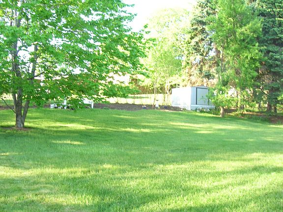 Rear yard. Large 