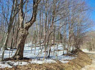 6546 N Conway Rd, Alanson, MI 49706