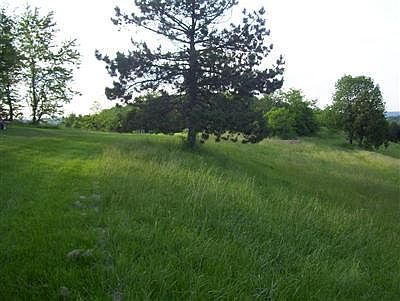 2nd image of 343 Barker Rd
