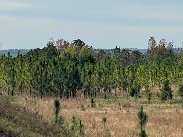 0 Old Clayton Rd, Eufaula, AL 36027