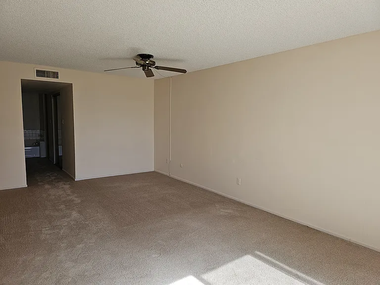 10302 S Del Rey Dr — Photo 6