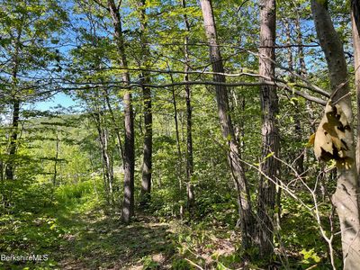 2438 Mohawk Trl, North Adams, MA, 01247