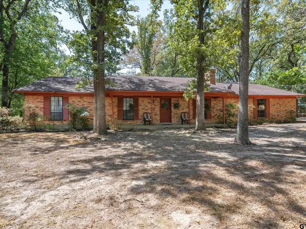 1893 Vz County Road 1412, Van, TX 75790