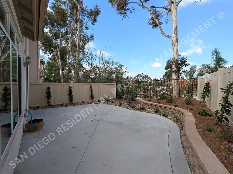 12466 Caminito Brioso — Photo 21