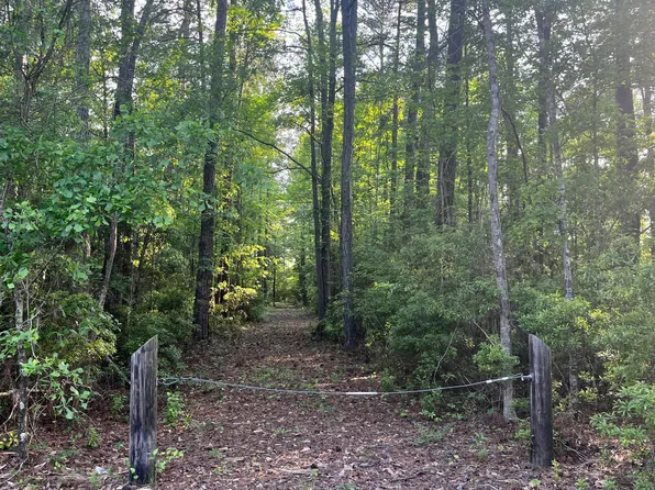 0 Greeleyville Hwy, Manning, SC 29102