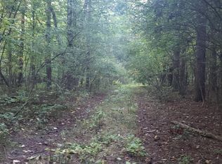 494 Briggs Rd, Stanton, MI 48888