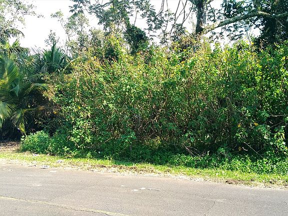 5th image of Ainaloa Dr Lot 44