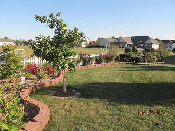 Landscaped yard