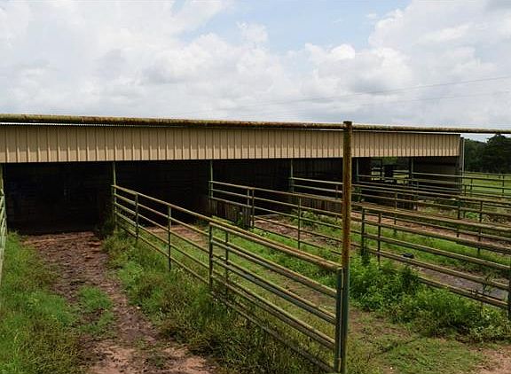 2nd image of 1564 County Road 221