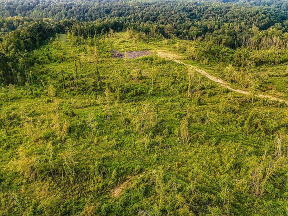 5th image of PARCEL 1 County Road 600