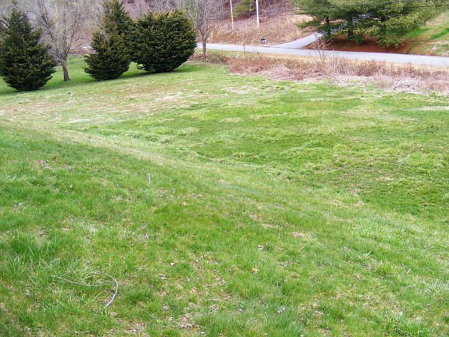 2nd image of 259 Jr Pate Rd