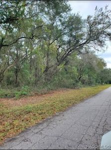 7879 N Vince Dr, Citrus Springs, FL, 34434
