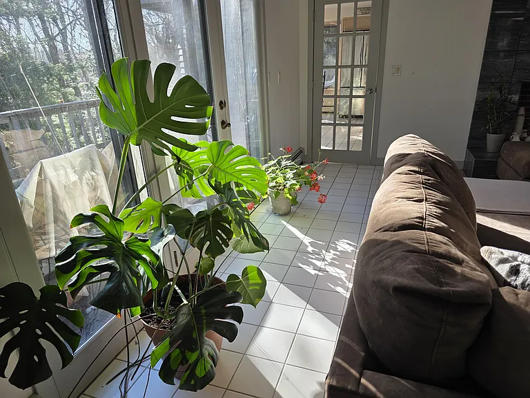 79 Waterside Dr — Photo 10