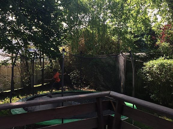 Backyard