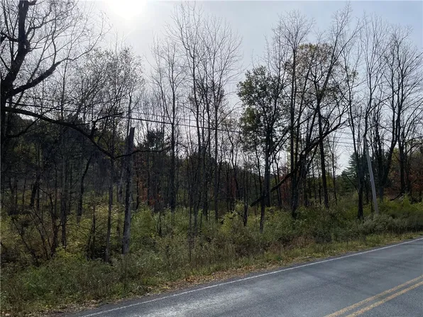 0 County Road 39, Afton, NY 13730