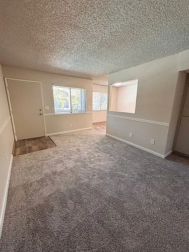 Olive Glen Photo 1