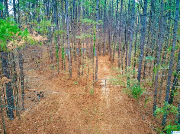 0 Lake Shore Dr #Na, Jasper, AL 35504