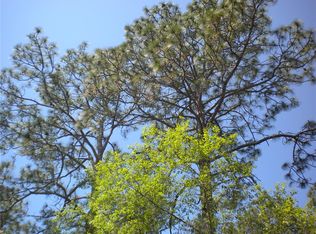 3 NW Winding Hills Rd #3, Dunnellon, FL 34431