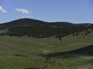 325 Bakabi Rd, Hartsel, CO 80449