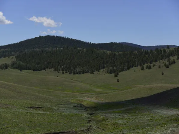 325 Bakabi Rd, Hartsel, CO 80449