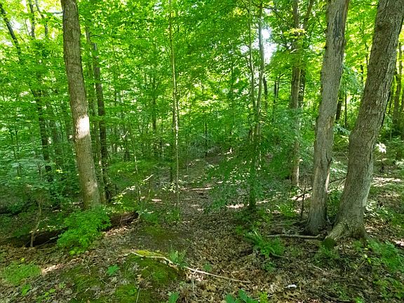 3rd image of Taylor Mine Rd Lot Wp003