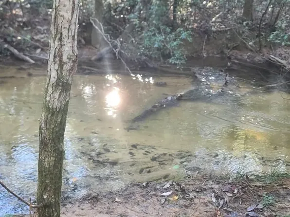 Seven Oaks Rd, Defuniak Springs, FL 32433