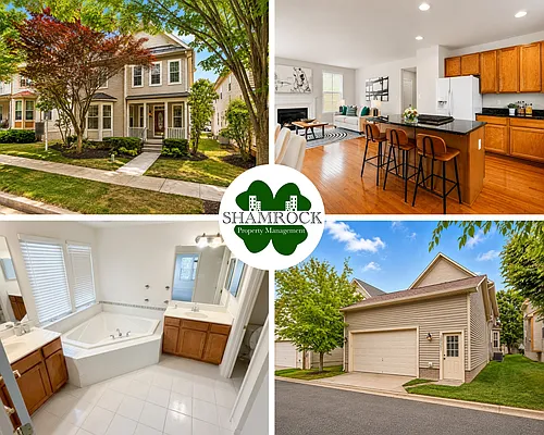 3921 Braveheart Cir Photo 1