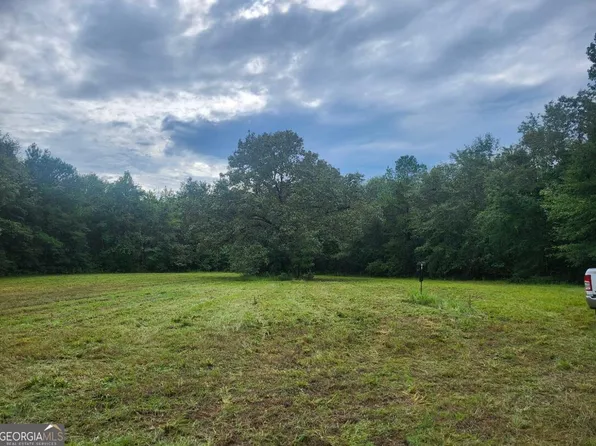 0 Lewis Station Rd, Sylvania, GA 30467
