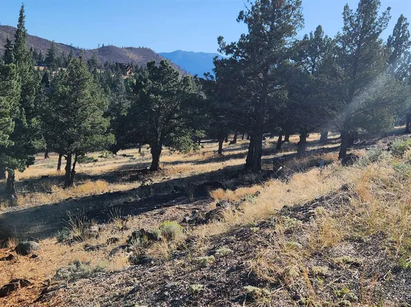 LOT 155 Stag Mountain Rd, Weed, CA 96094