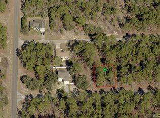 1607 W Diamond Dr, Citrus Springs, FL 34434