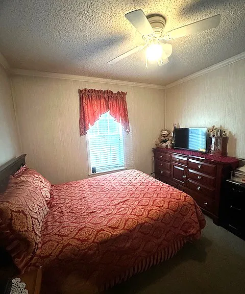 29 Mike Dr — Photo 32