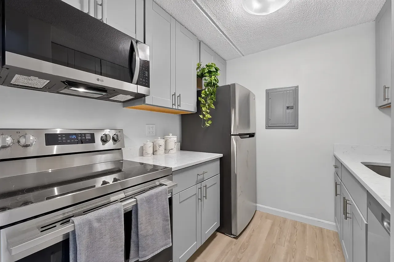 1 bed, $1,500 — Photo 1
