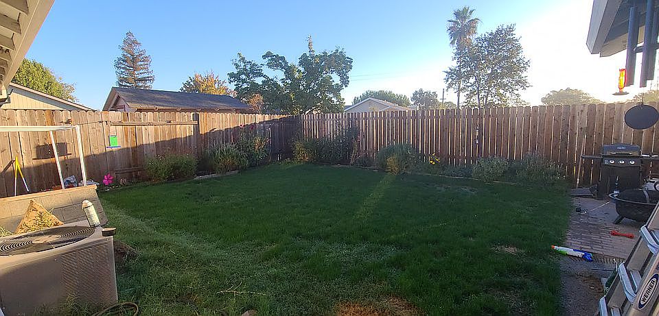 Back yard