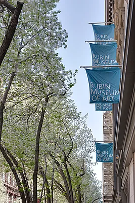 Rented by Cooper & Cooper Real Estate | media 55