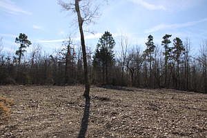 2nd image of LOT 9 Buffalo