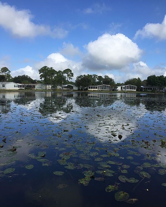 2nd image of 361 Salt Creek Dr