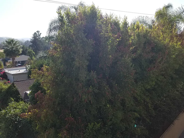Riverside Dr — Photo 22
