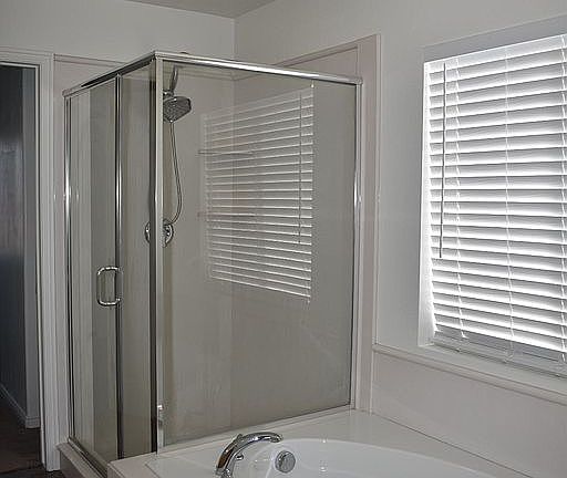 Master Shower/Bath