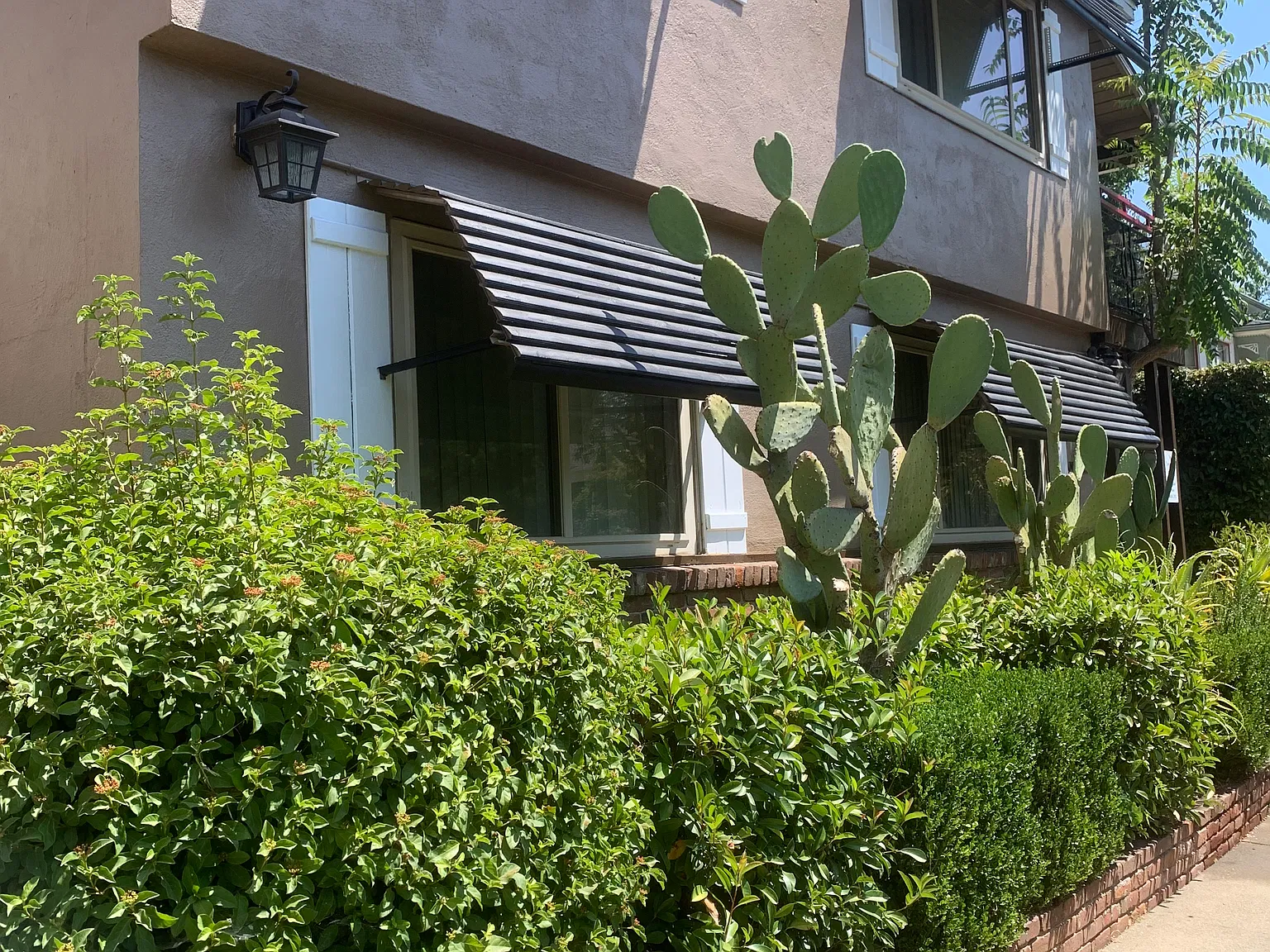 2515 P St — Photo 3