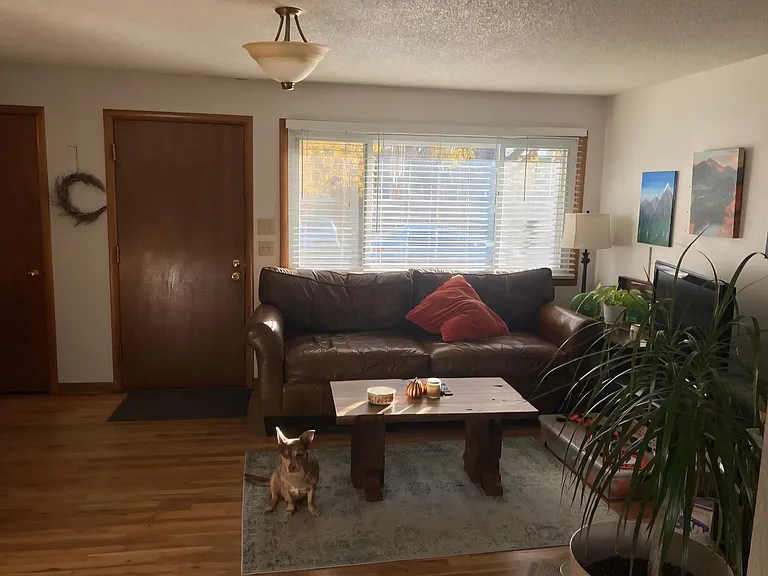817 Lincoln St — Photo 5