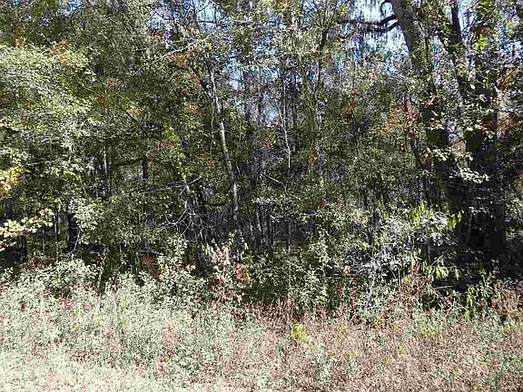 5th image of Meadow Dr