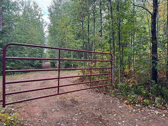 3rd image of 40 acres on FR 1769